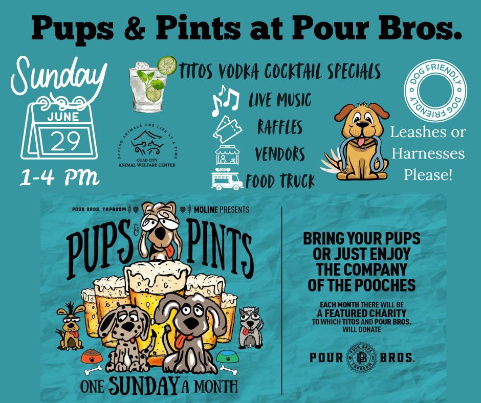 Pour bros pups pints